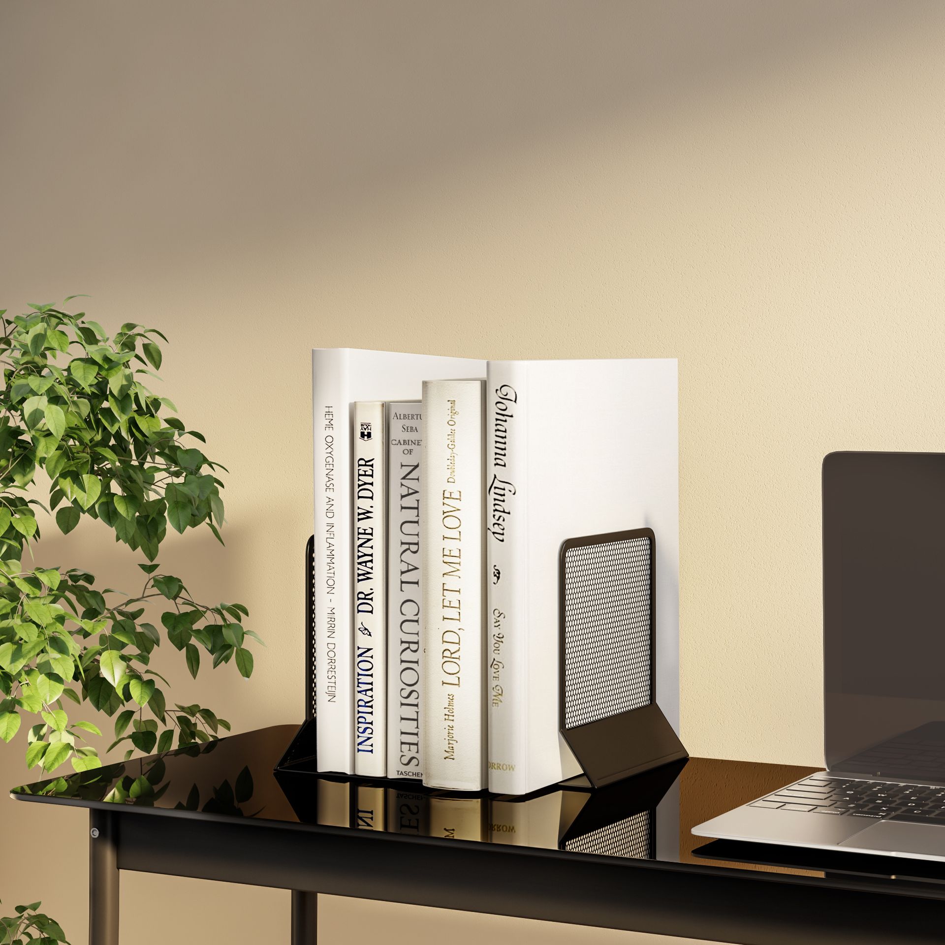 DE-LIVROS-CONJUNTO-COM-2-PECAS-SHOW-FLAT-PRETO-SHOW-FLAT_72682_AMB0