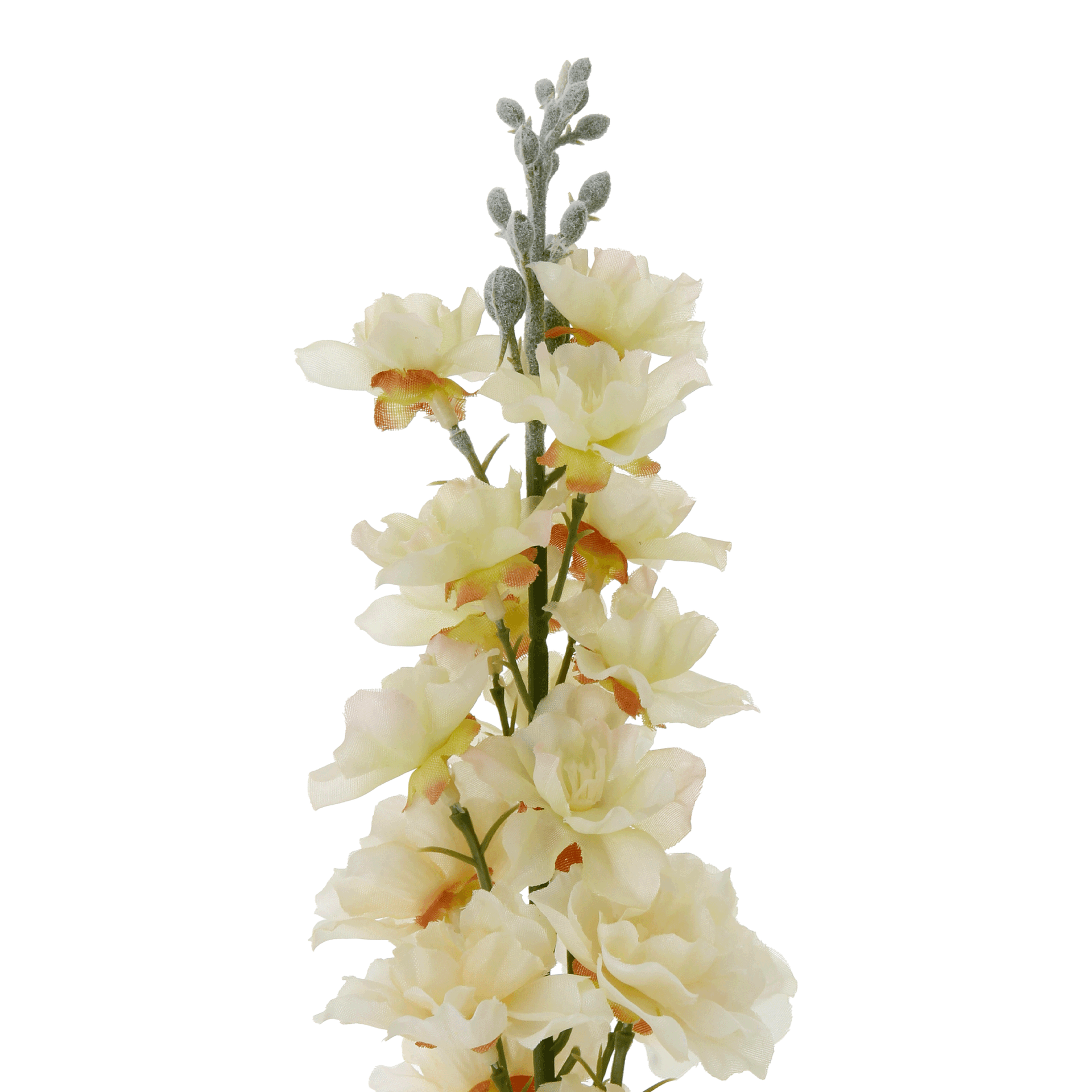 DELPHES-BRANCO-AMARELO-DELPHES_ST2