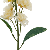 DELPHES-BRANCO-AMARELO-DELPHES_ST1