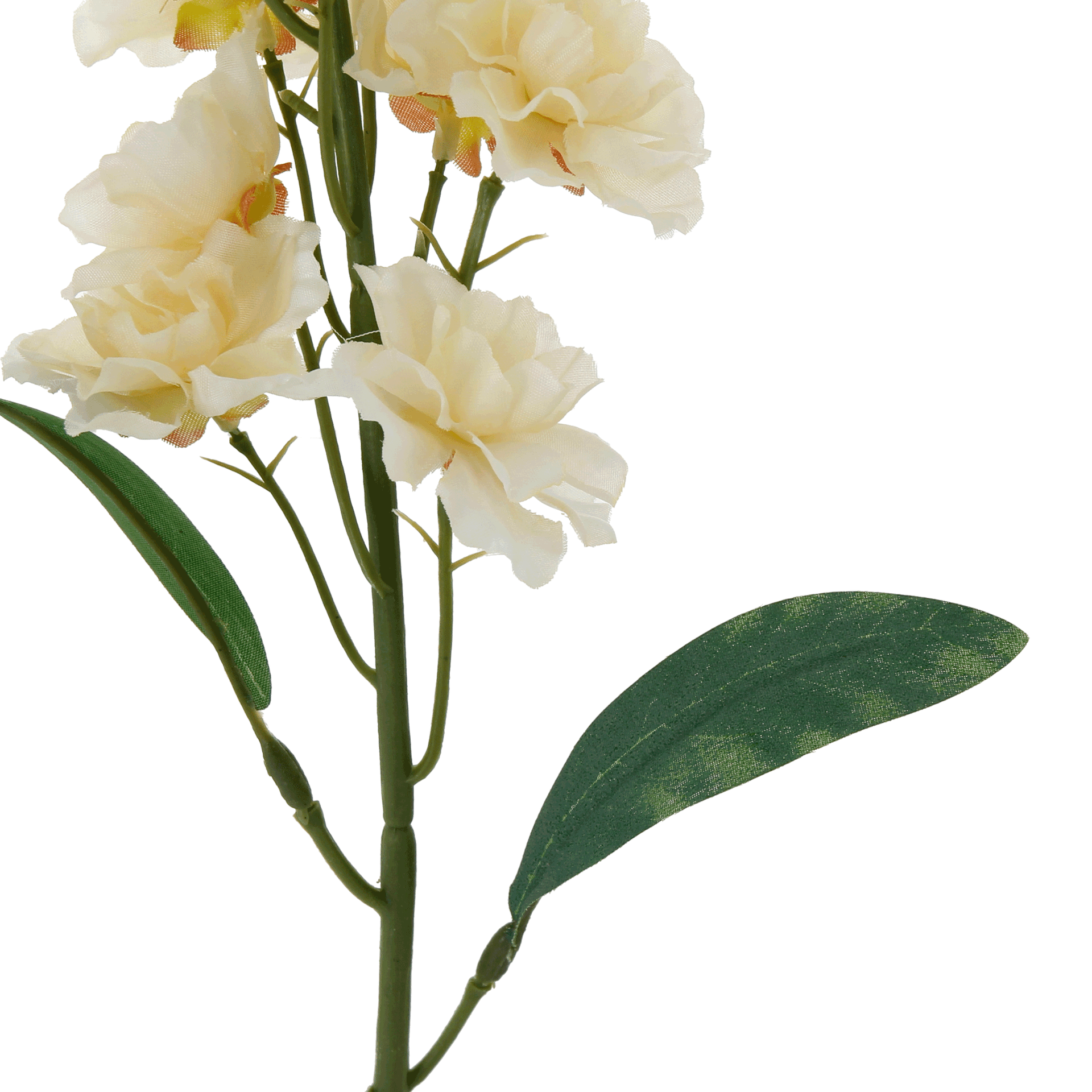 DELPHES-BRANCO-AMARELO-DELPHES_ST1