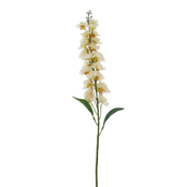 DELPHES-BRANCO-AMARELO-DELPHES_ST0