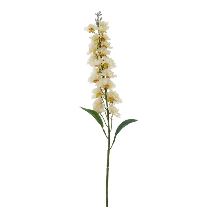 Flor Delphes