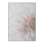 50-CM-X-70-CM-DANDELION-BRANCO-MULTICOR-DANDELION_ST0