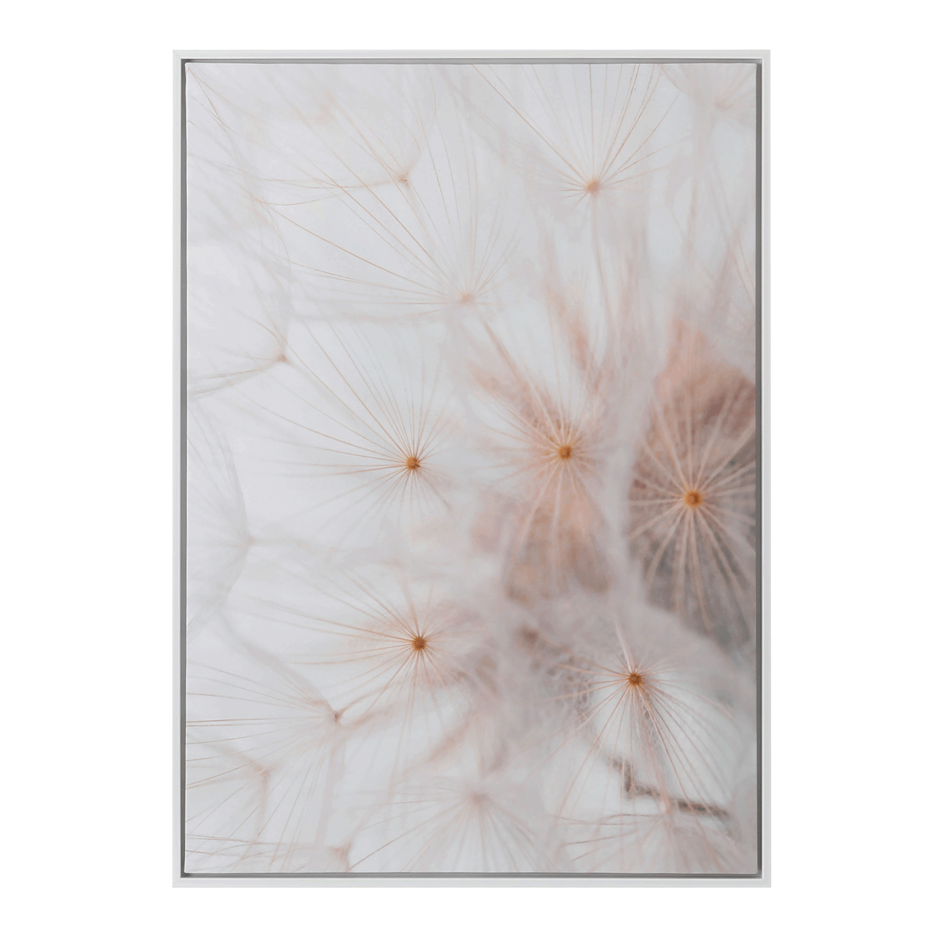 50-CM-X-70-CM-DANDELION-BRANCO-MULTICOR-DANDELION_ST0