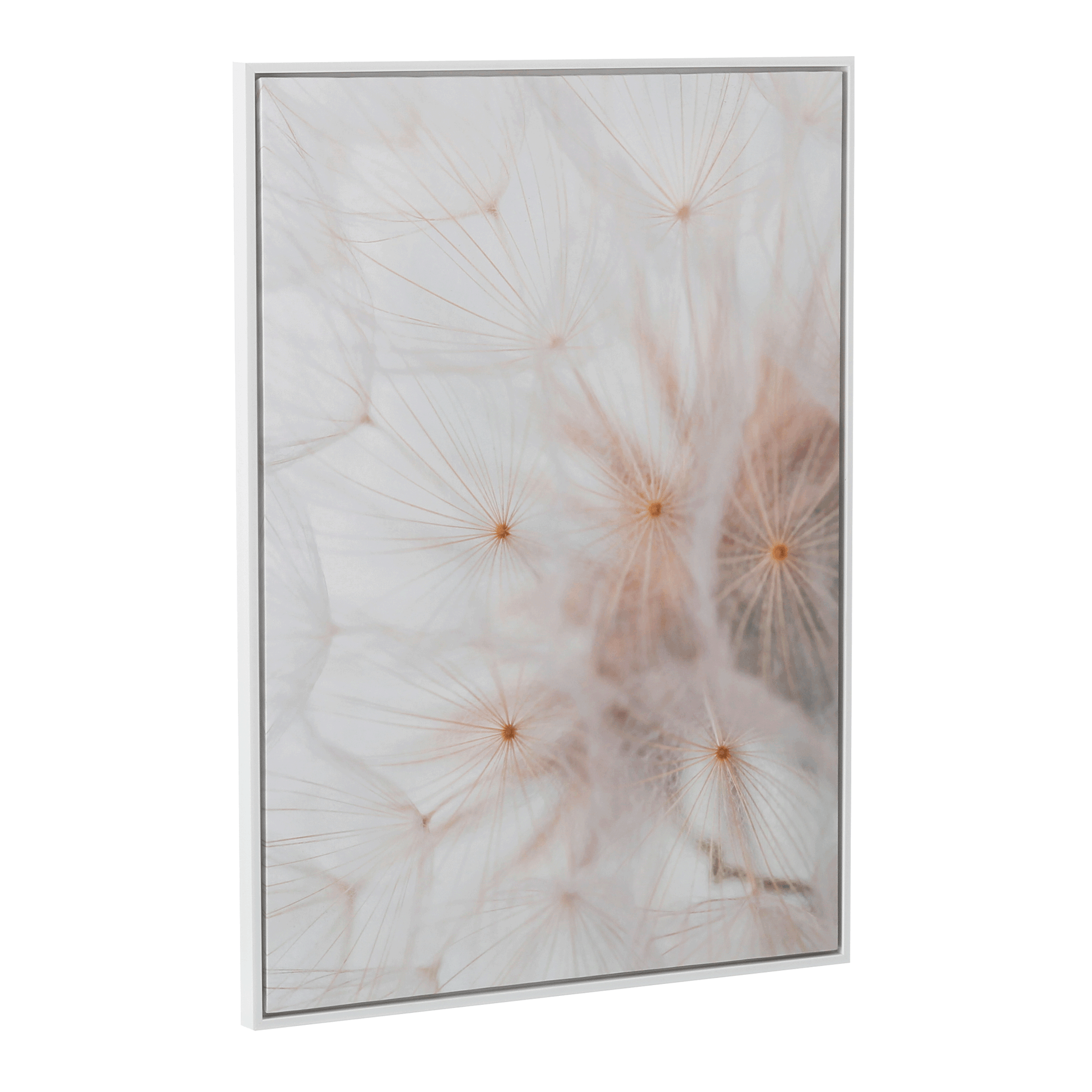 50-CM-X-70-CM-DANDELION-BRANCO-MULTICOR-DANDELION_ST1