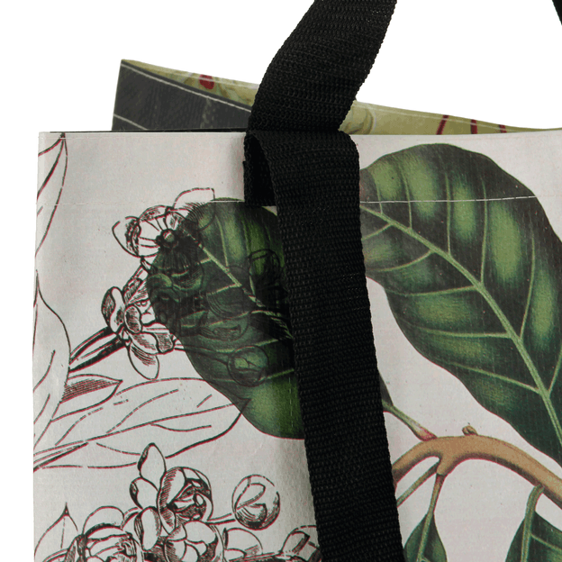 NATUREZA-BOTANICA-MULTICOR-PRETO-NATUREZA-BOT-NICA_ST7