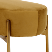 2-LUGARES-DAISY-OURO-DOURO-DAISY_ST4