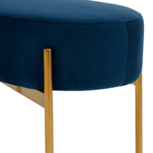 2-LUGARES-DAISY-OURO-GALAXY-BLUE-DAISY_ST4