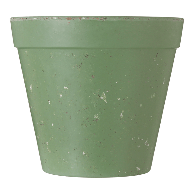 16-CM-FLORIR-S-LVIA-FLORIR_ST1