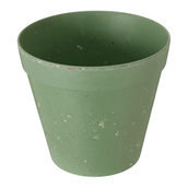 16-CM-FLORIR-S-LVIA-FLORIR_ST2