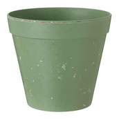 16-CM-FLORIR-S-LVIA-FLORIR_ST0