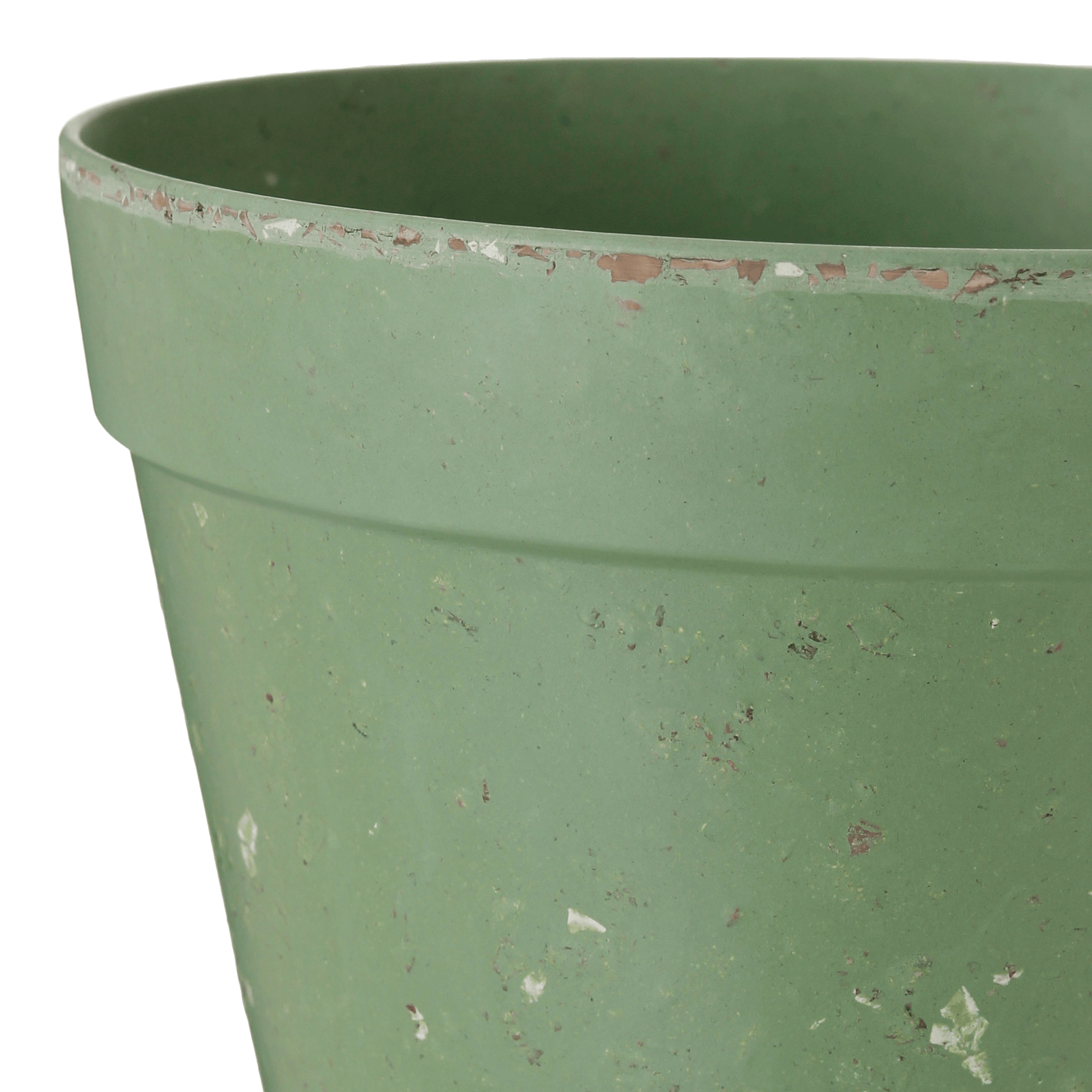 16-CM-FLORIR-S-LVIA-FLORIR_ST3