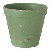 9-CM-FLORIR-S-LVIA-FLORIR_ST0