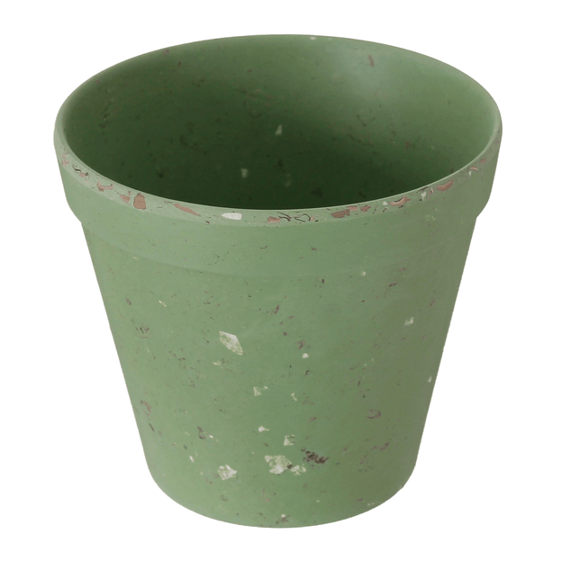 9-CM-FLORIR-S-LVIA-FLORIR_ST2