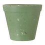 9-CM-FLORIR-S-LVIA-FLORIR_ST1