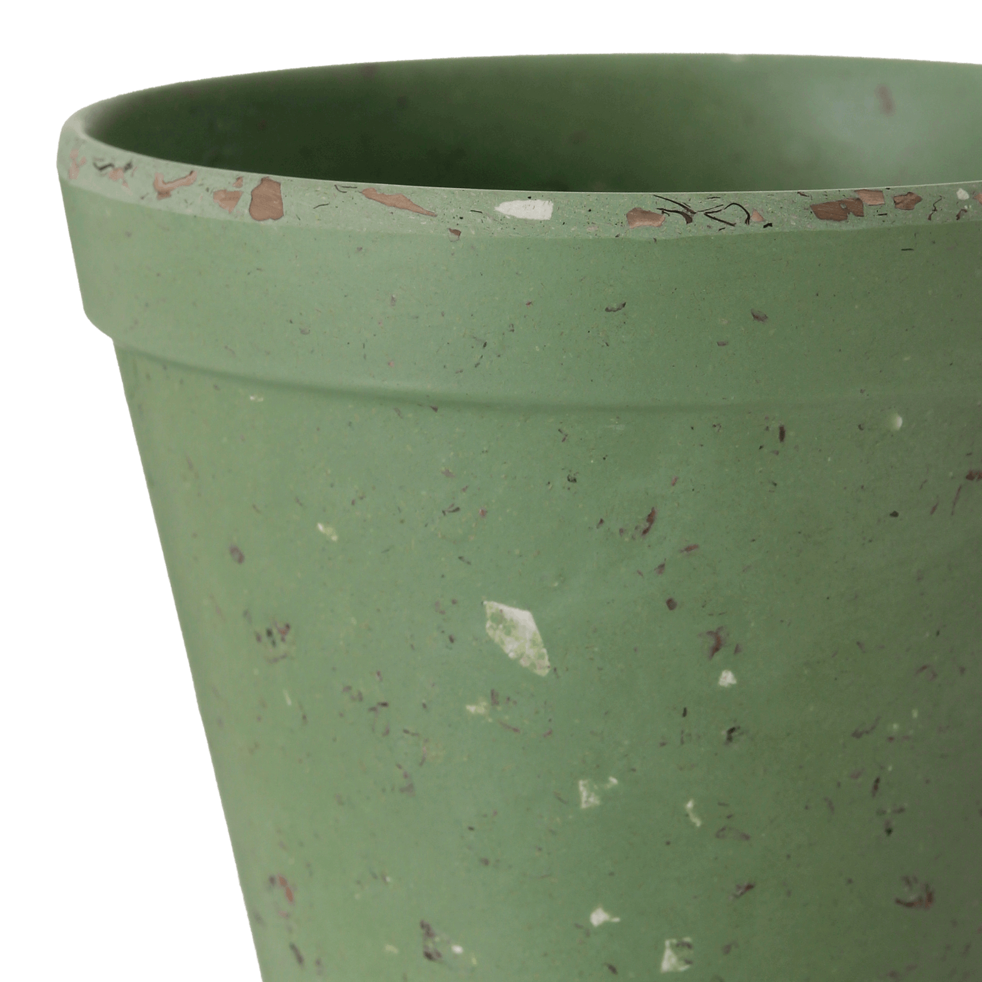 9-CM-FLORIR-S-LVIA-FLORIR_ST3