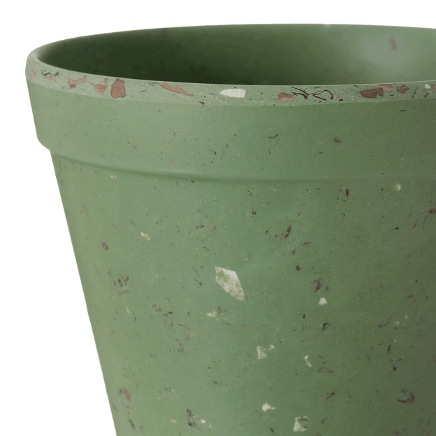 9-CM-FLORIR-S-LVIA-FLORIR_ST3