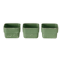 MINIVASO-C-3-COM-BANDEJA-BROTO-S-LVIA-BROTO_ST5