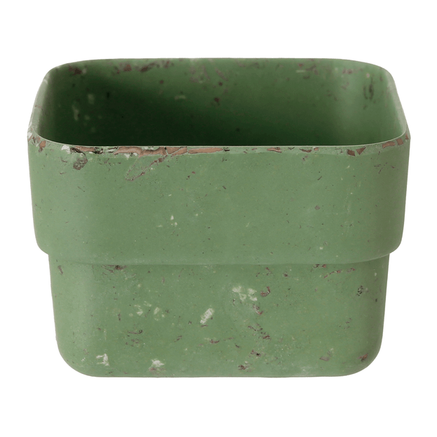 MINIVASO-C-3-COM-BANDEJA-BROTO-S-LVIA-BROTO_ST6