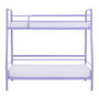 98-CM-NEW-LINK-MOUSSE-DE-JABUTICABA-NEW-LINK_ST5