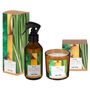 BROMELIA-AROMATIZADOR-VELA-PERFUM-BEGE-MULTICOR-_ST1