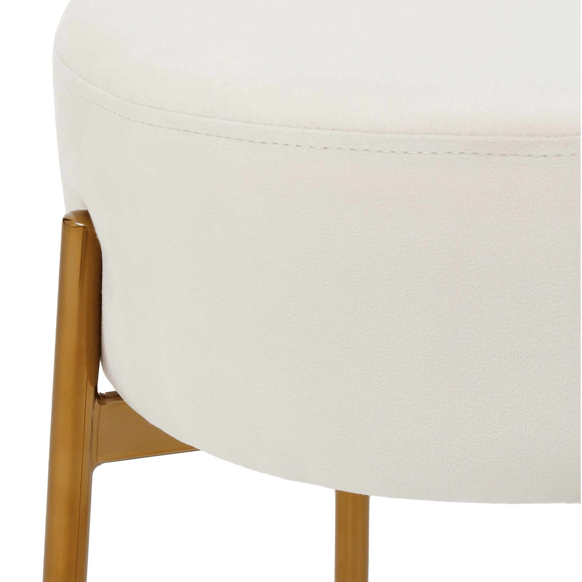 BAIXO-DAISY-OURO-AREIA-DAISY_ST2