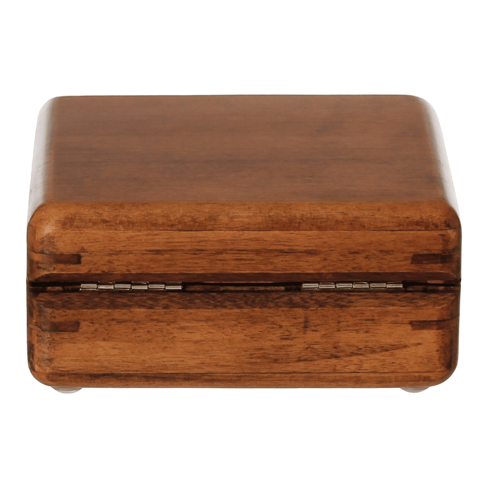 JOIAS-CHARMED-NOZES-CAMELO-CHARMED_ST5