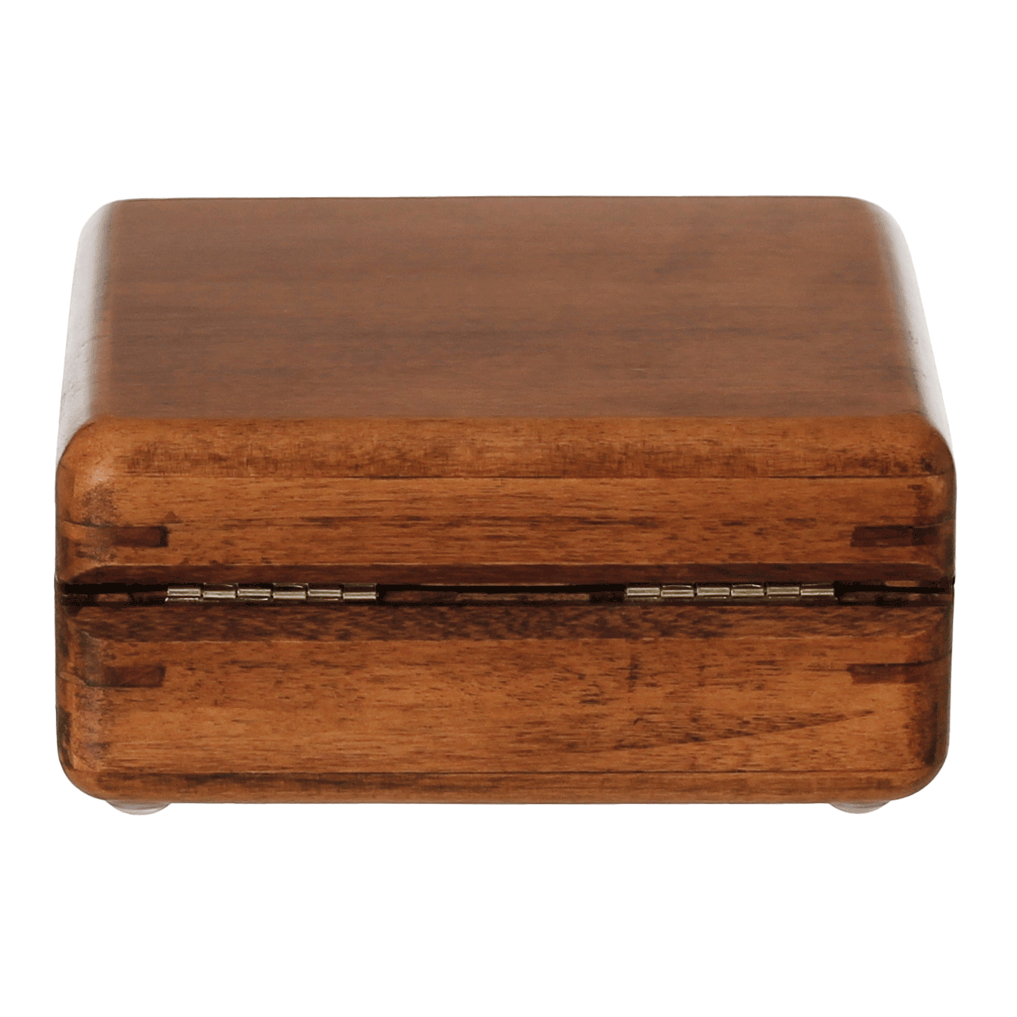joias-charmed-nozes-camelo-