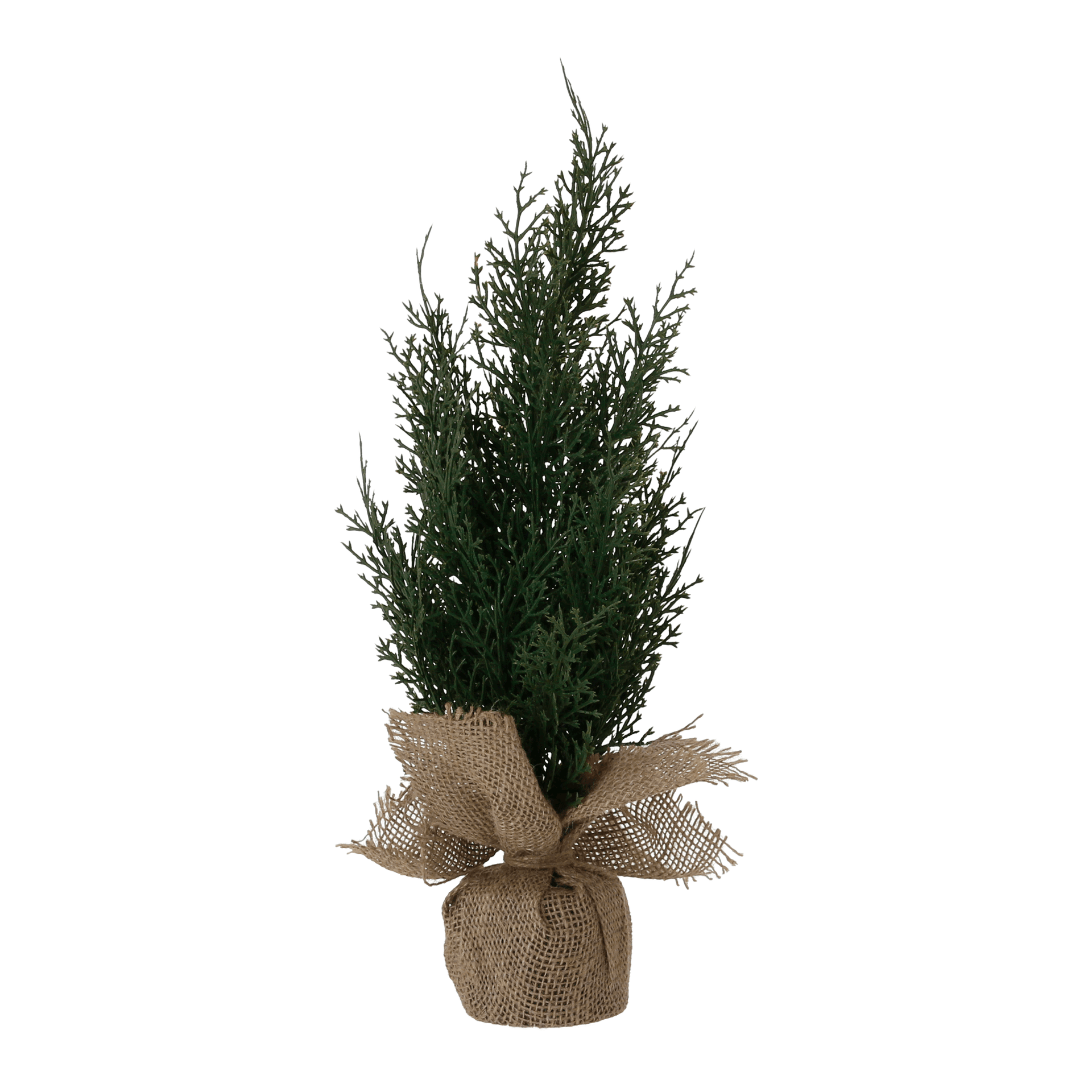 ARVORE-45-CM-VILAREJO-NOEL-JUTA-CIPESTRE-VILAREJO-NOEL_ST0