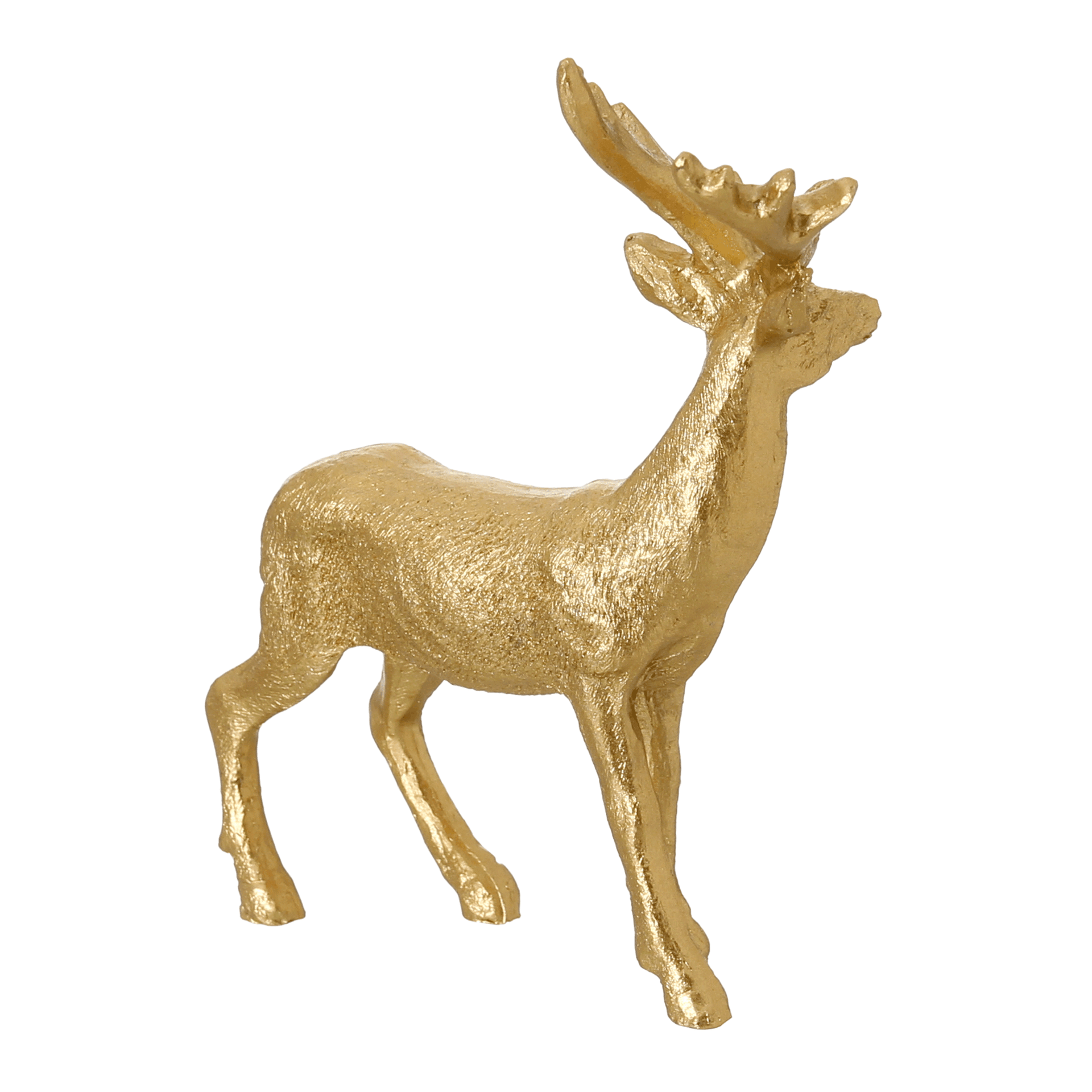 RENA-14-CM-CELEBRATION-OURO-CELEBRATION_ST4