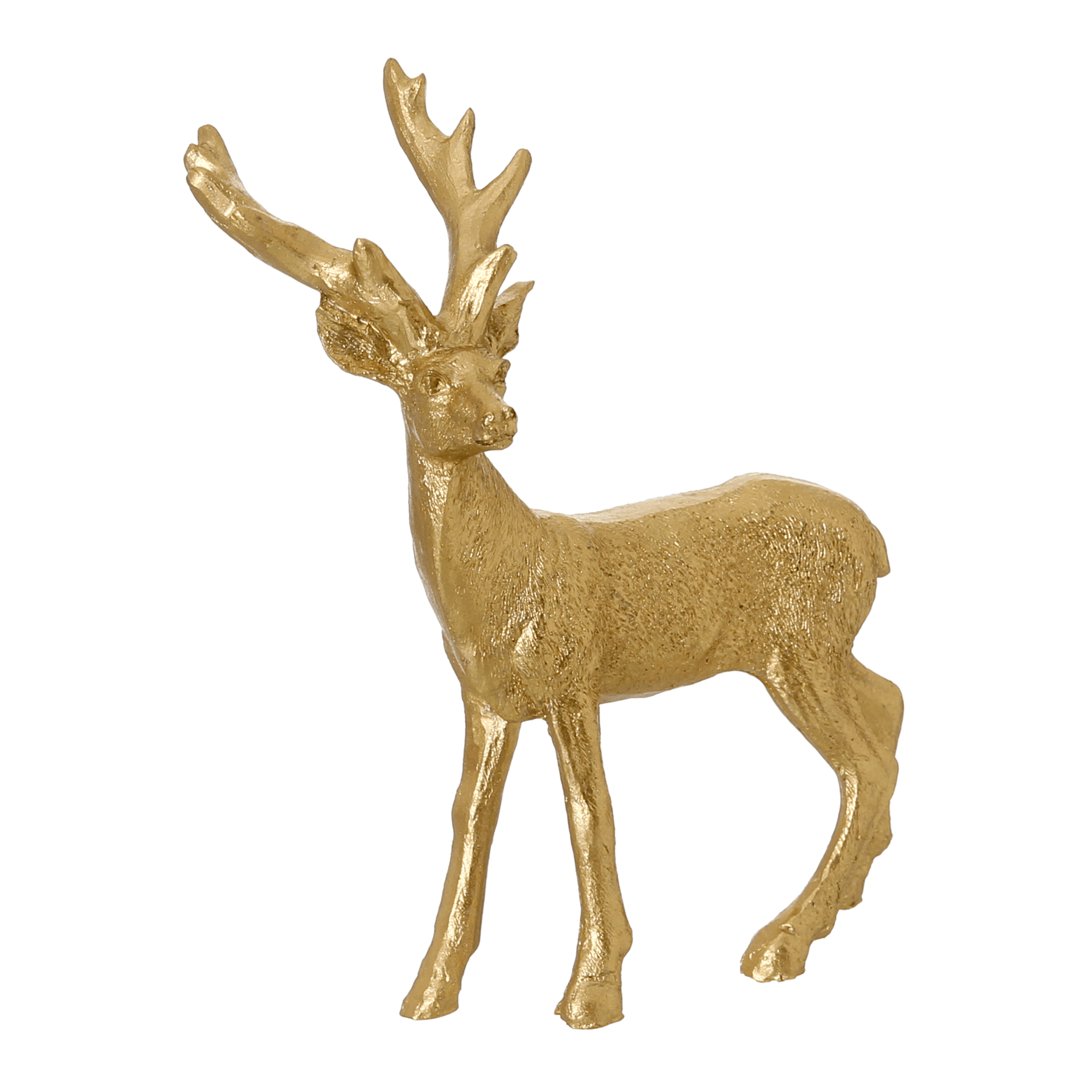 RENA-14-CM-CELEBRATION-OURO-CELEBRATION_ST2