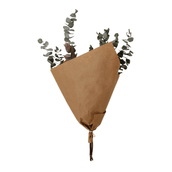 EUCALIPTO-VERDE-FIBRA-CLARA-EUCALIPTO_ST1