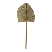 LATANIA-FIBRA-CLARA-LATANIA_ST1