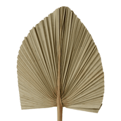 LATANIA-FIBRA-CLARA-LATANIA_ST2