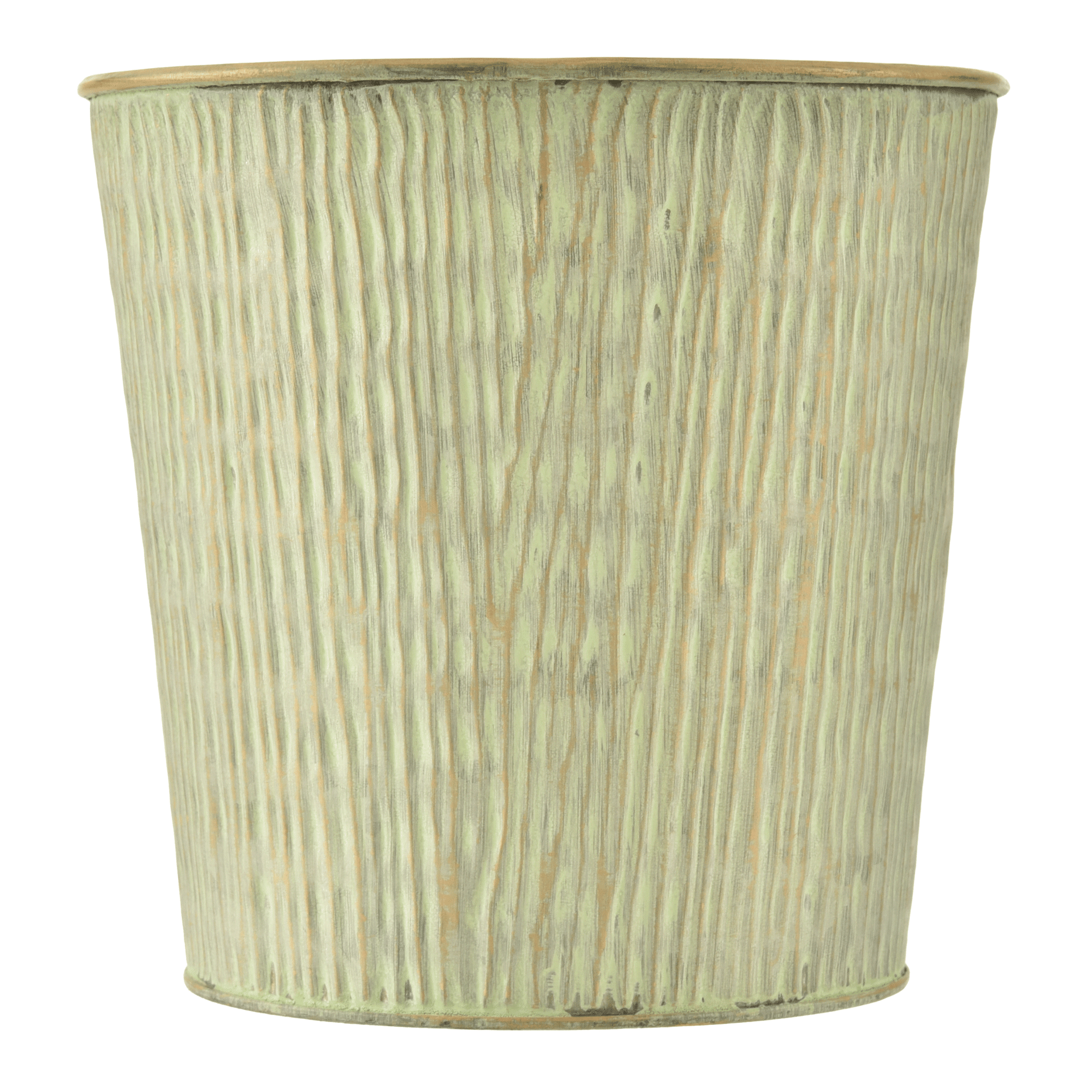 18-CM-CAIPE-S-LVIA-CA-PE_ST1