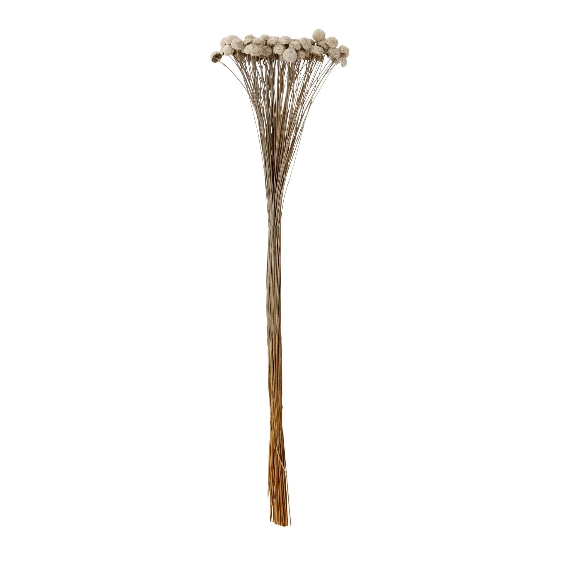 BOTAO-BRANCO-VARIADO-BOT-O-BRANCO_ST0