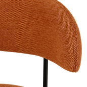 DISCUS-PRETO-CASCA-DE-URUCUM-DISCUS_ST6