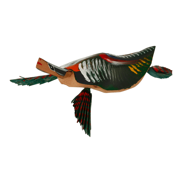 TARTARUGA-BICHOS-DE-CUMBE-VARIADO-BICHOS-DE-CUMB-_ST0