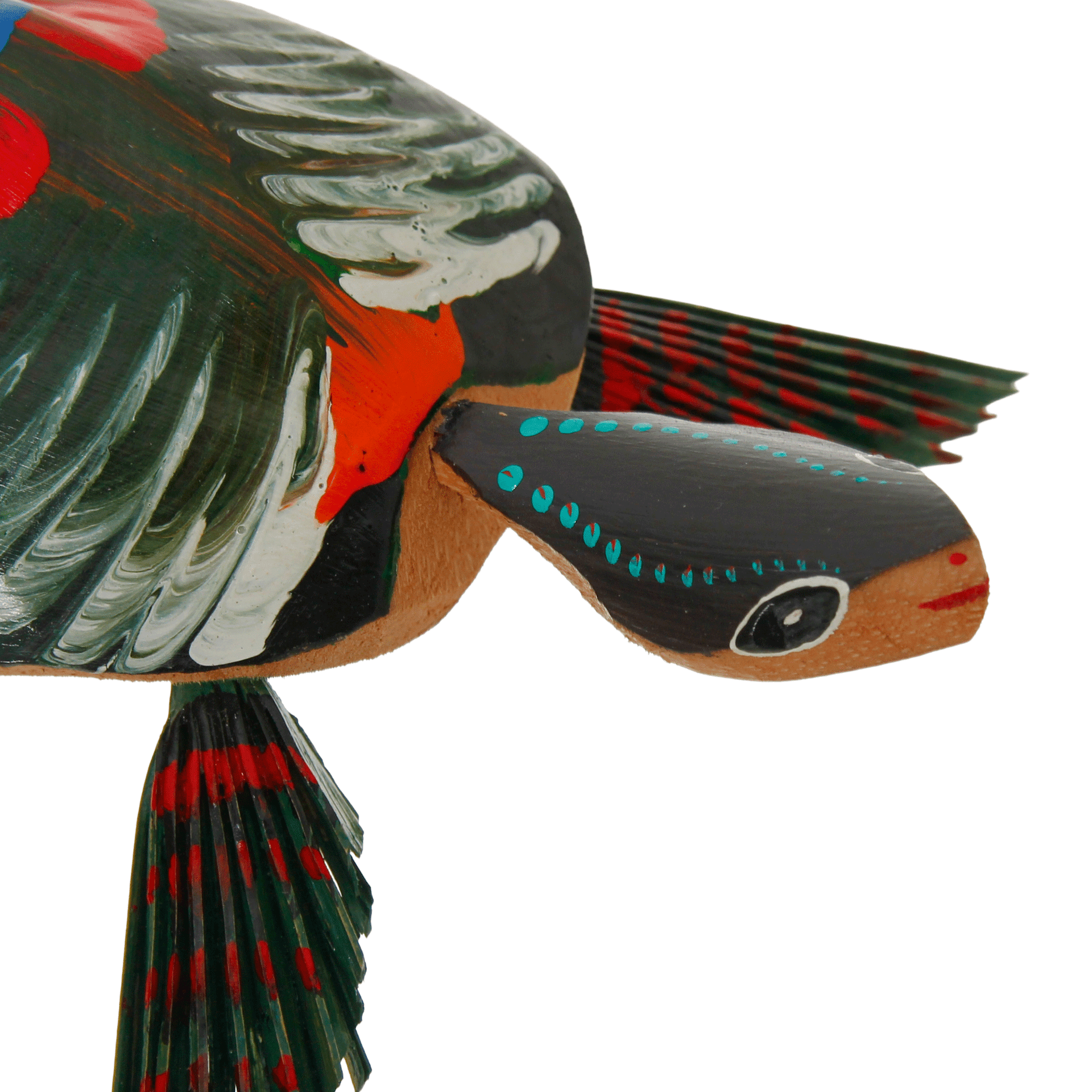 TARTARUGA-BICHOS-DE-CUMBE-VARIADO-BICHOS-DE-CUMB-_ST7