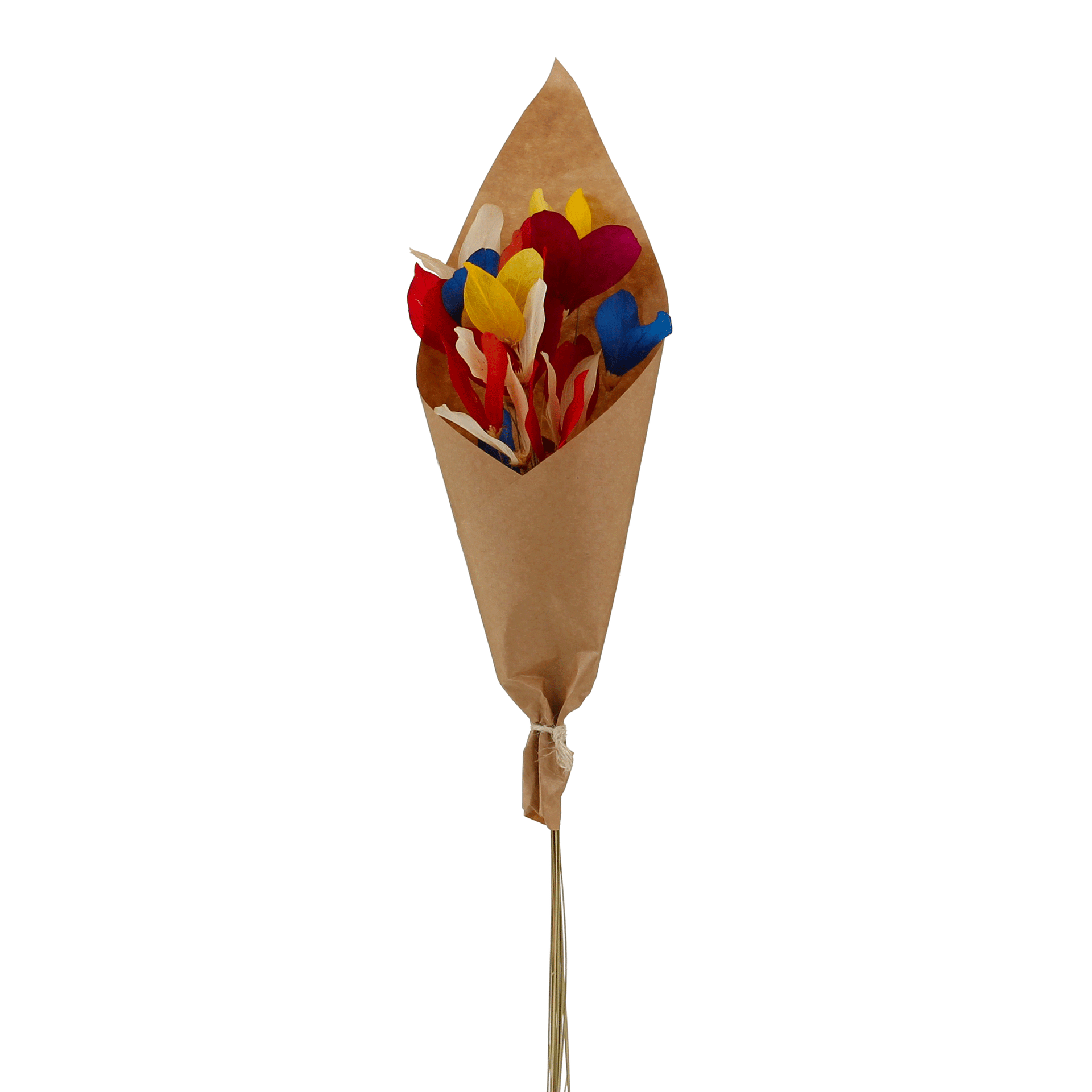 COM-20-FLORES-FLOR-DE-CAPIM-VERMELHO-FIBRA-CLARA-FLOR-DE-CAPIM_ST0