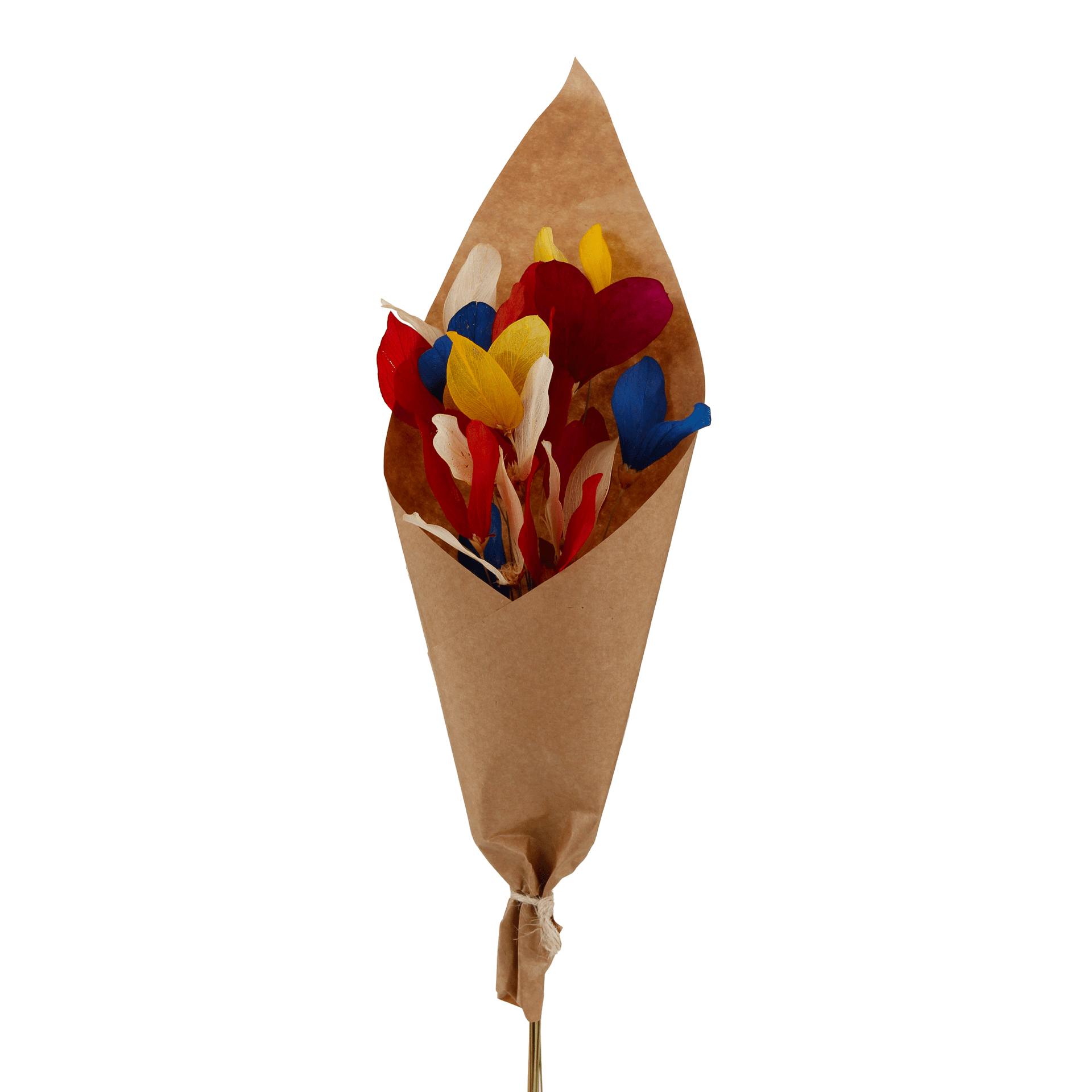 COM-20-FLORES-FLOR-DE-CAPIM-VERMELHO-FIBRA-CLARA-FLOR-DE-CAPIM_ST2