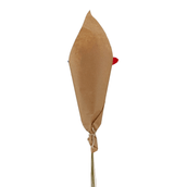 COM-20-FLORES-FLOR-DE-CAPIM-VERMELHO-FIBRA-CLARA-FLOR-DE-CAPIM_ST3