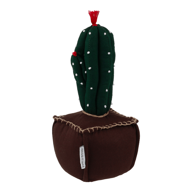 PARA-PORTA-21-CM-X-9-CM-CACTOZIN-VERDE-ESCURO-MARROM-CACTOZIN_ST1