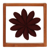 PAREDE-DISCOCACTUS-VERMELHO-DISCOCACTUS_ST2