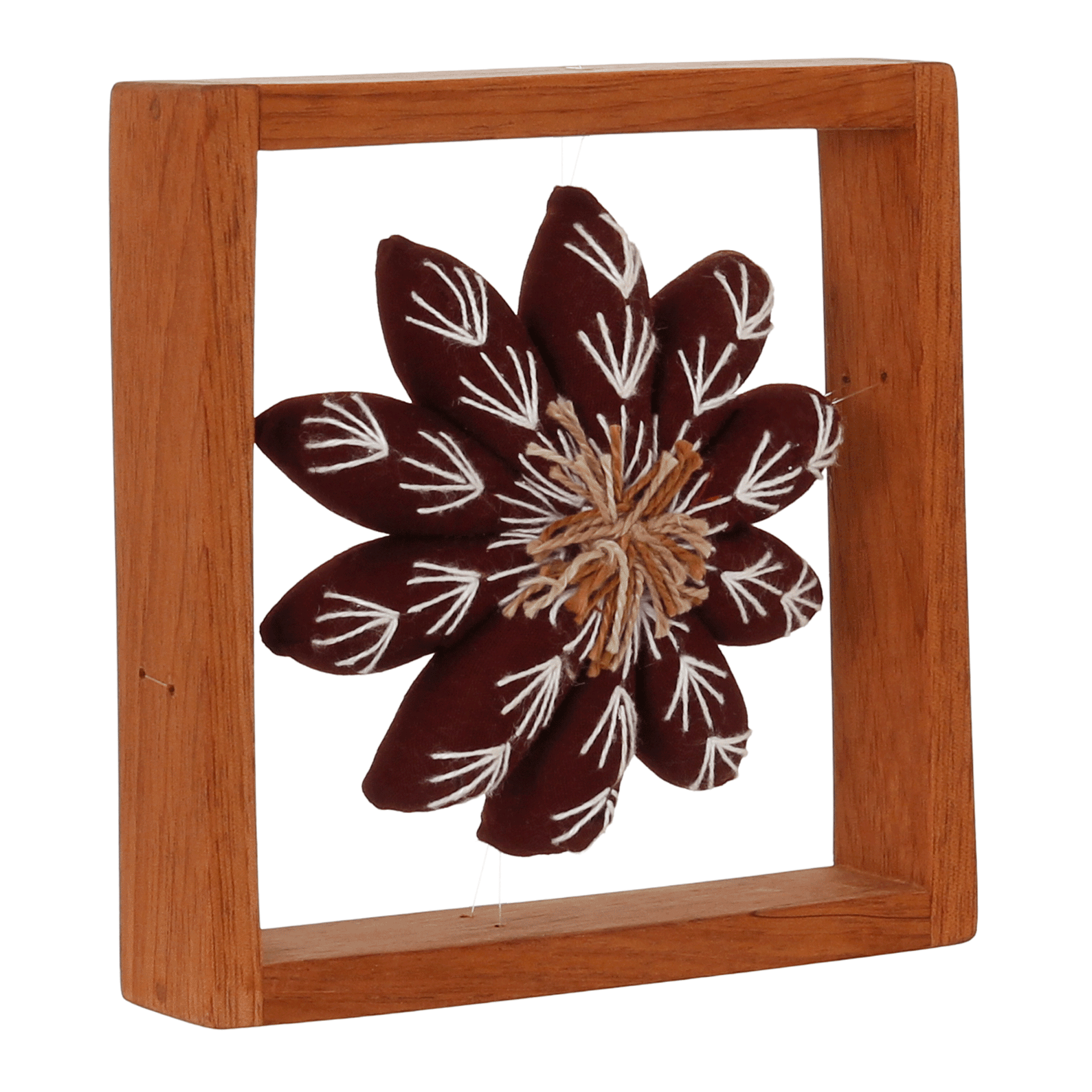 PAREDE-DISCOCACTUS-VERMELHO-DISCOCACTUS_ST1