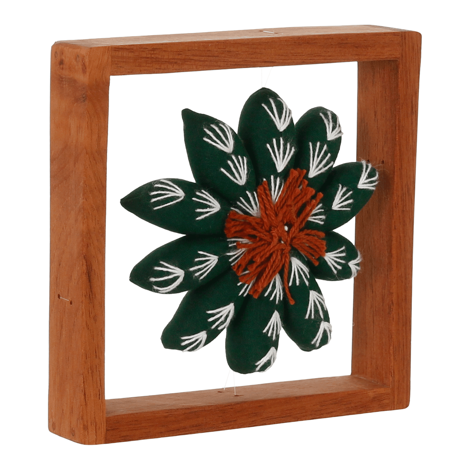 PAREDE-DISCOCACTUS-VERDE-DISCOCACTUS_ST0