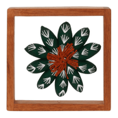 PAREDE-DISCOCACTUS-VERDE-DISCOCACTUS_ST1