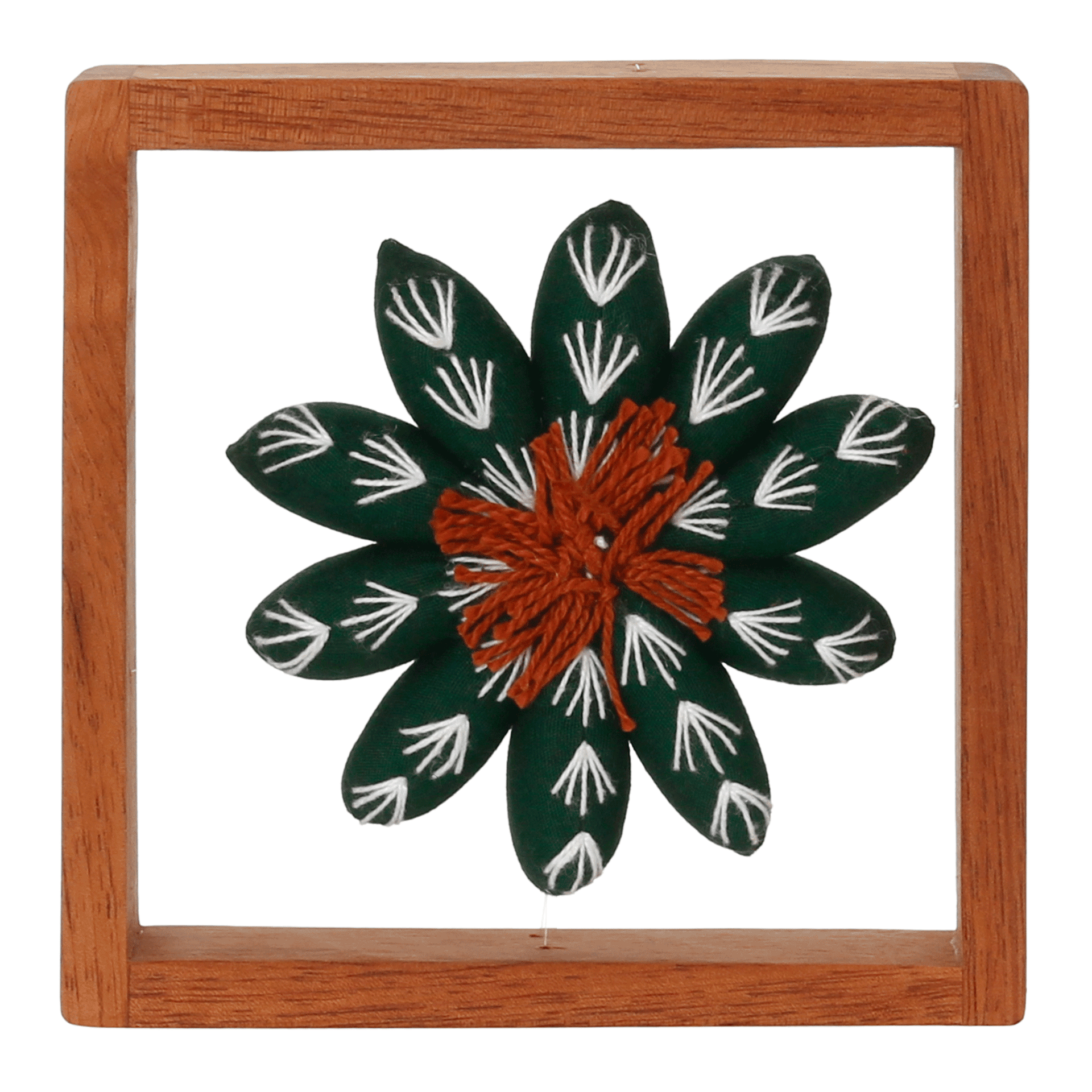 PAREDE-DISCOCACTUS-VERDE-DISCOCACTUS_ST1