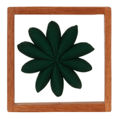 PAREDE-DISCOCACTUS-VERDE-DISCOCACTUS_ST2