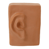 PAREDE-SENTIDOS-OUVIR-ARGILA-CRUA-SENTIDOS_ST0